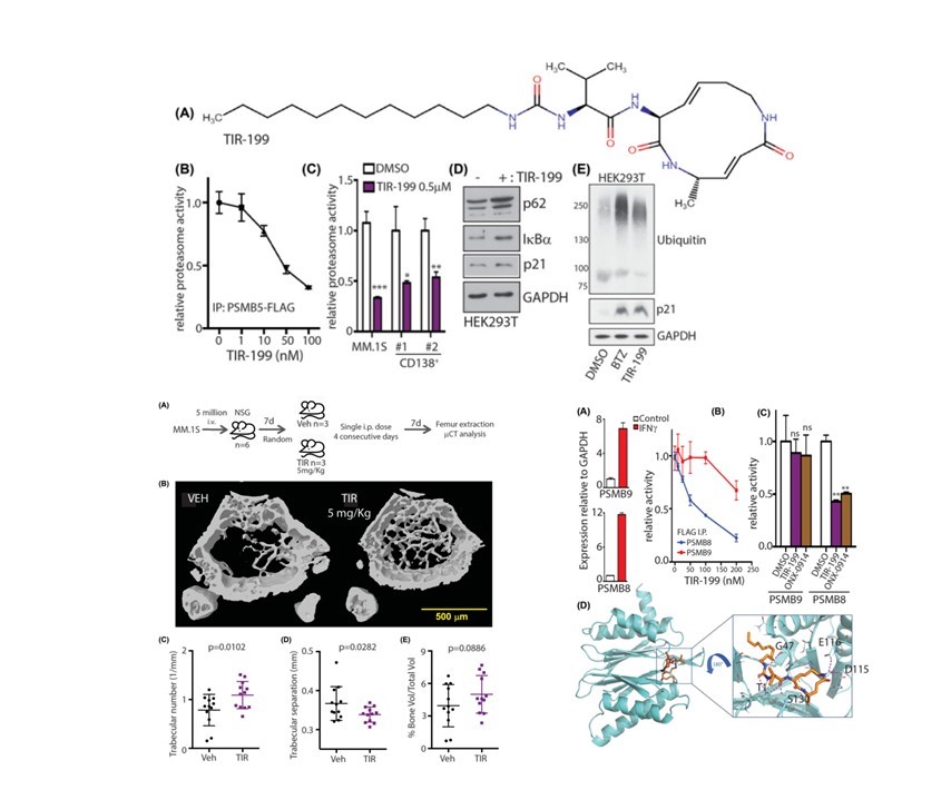 31 Bioscience  Graphical Imag